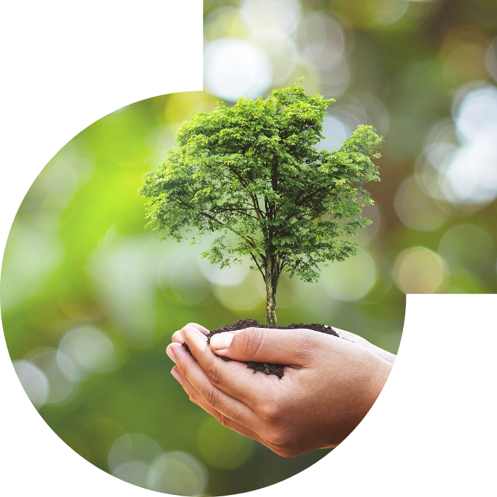 关怀人类、文化、环境与社会